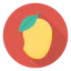 Mango icon 64x64