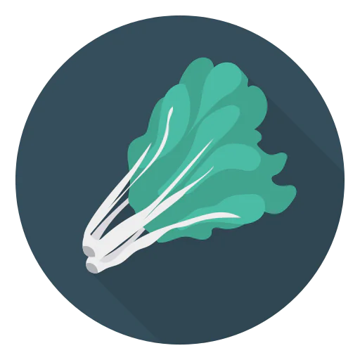 Broccoli icon