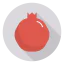 Pomegranate icon 64x64