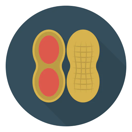 Peanuts icon