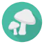 Mushrooms icon 64x64
