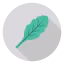 Oak leaf іконка 64x64