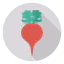 Turnip Ikona 64x64