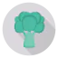 Broccoli biểu tượng 64x64