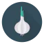 Onion icon 64x64