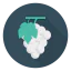 Grapes icon 64x64