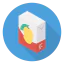 Mango icon 64x64
