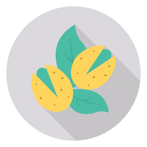 Nut icon