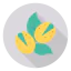 Nut icon 64x64