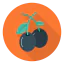 Blueberry icon 64x64