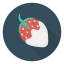 Strawberry icon 64x64