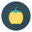 Capsicum icon 64x64