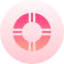 Lifesaver icon 64x64