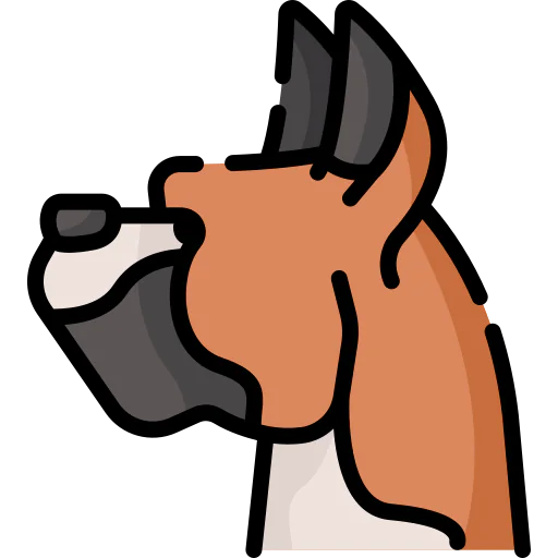 Boxer icon