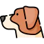 Jack russell terrier icon 64x64