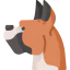 Boxer icône 64x64
