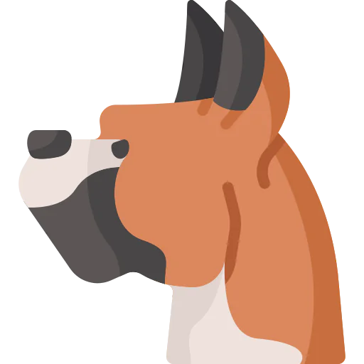 Boxer icon