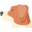 Jack russell terrier icon 64x64