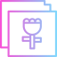 Галерея иконка 64x64