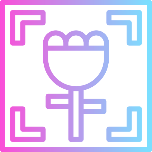 Macro icon