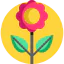 Flower icon 64x64