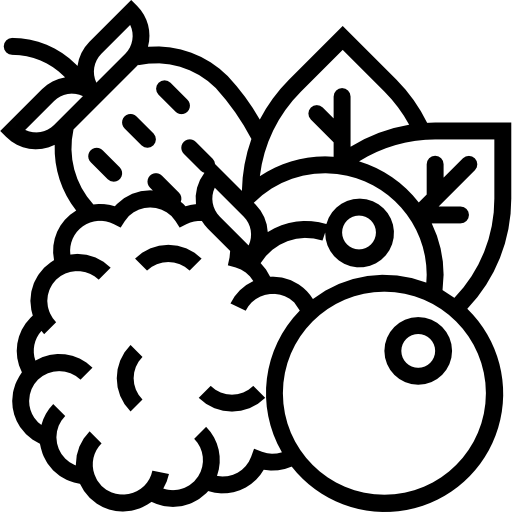 Berries icon