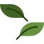 Leaf icon 64x64