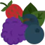 Berries Ikona 64x64