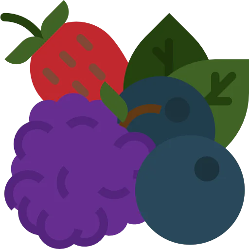 Berries icon