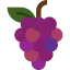 Grapes icon 64x64