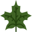 Maple leaf 图标 64x64