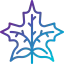 Maple leaf 图标 64x64