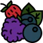 Berries Ikona 64x64