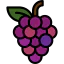 Grapes icon 64x64