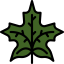 Maple leaf 图标 64x64