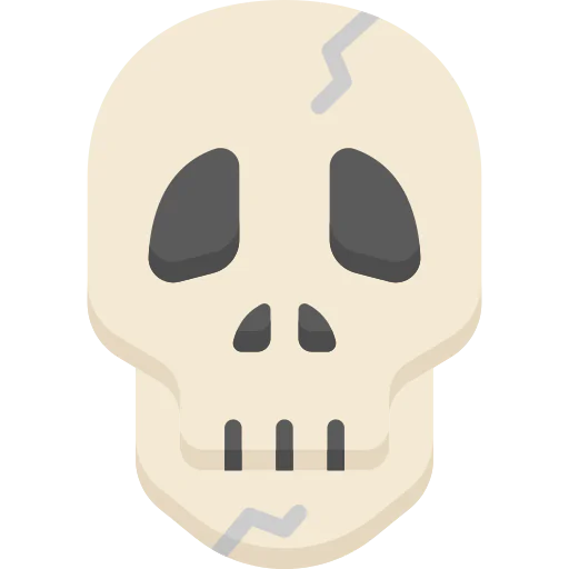 Skull icon