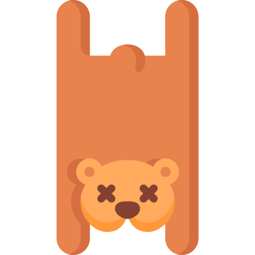 Bears icon