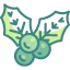 Mistletoe 图标 64x64