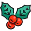 Mistletoe icon 64x64