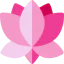 Lotus icon 64x64