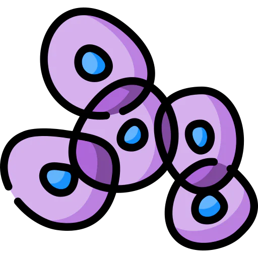 Cells icon