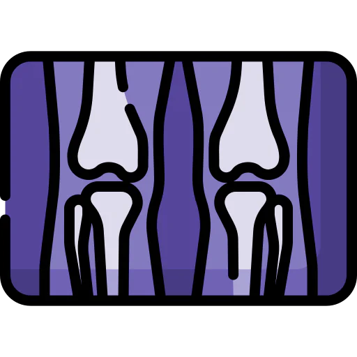 X ray icon