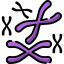 Chromosome icon 64x64