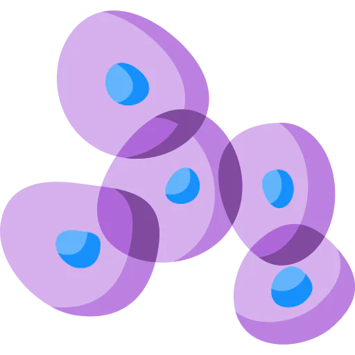 Cells icon