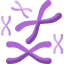 Chromosome icon 64x64