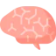 Human brain Symbol 64x64