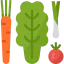Vegetables іконка 64x64