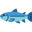 Fish icon 64x64