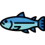 Fish icon 64x64