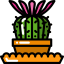 Cactus icon 64x64